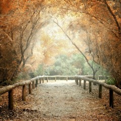 Asot713 background video FREE DOWNLOAD