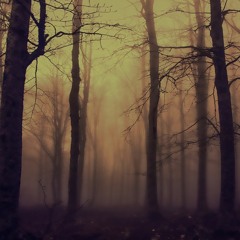 3 Hours - Tribal fo Dinner 02