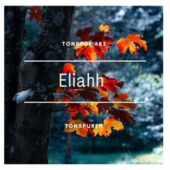 Tonspur #82 - Eliahh