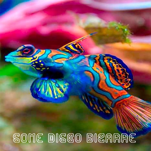 Some Disco Bizarre Mix