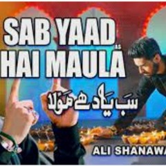 sab yaad hai maula Ali Shanawar latest Noha  2023-1445