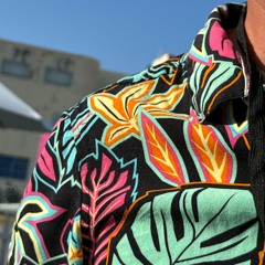 Hit 'Em (Dream Girl)