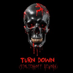 PREMIERE | D-Vektor - Turn Down (Stoltenhoff Rework)