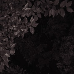 난 아직 사랑을 몰라서 <DEMO>