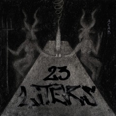 Punk from space (V.A - 23 Liters)