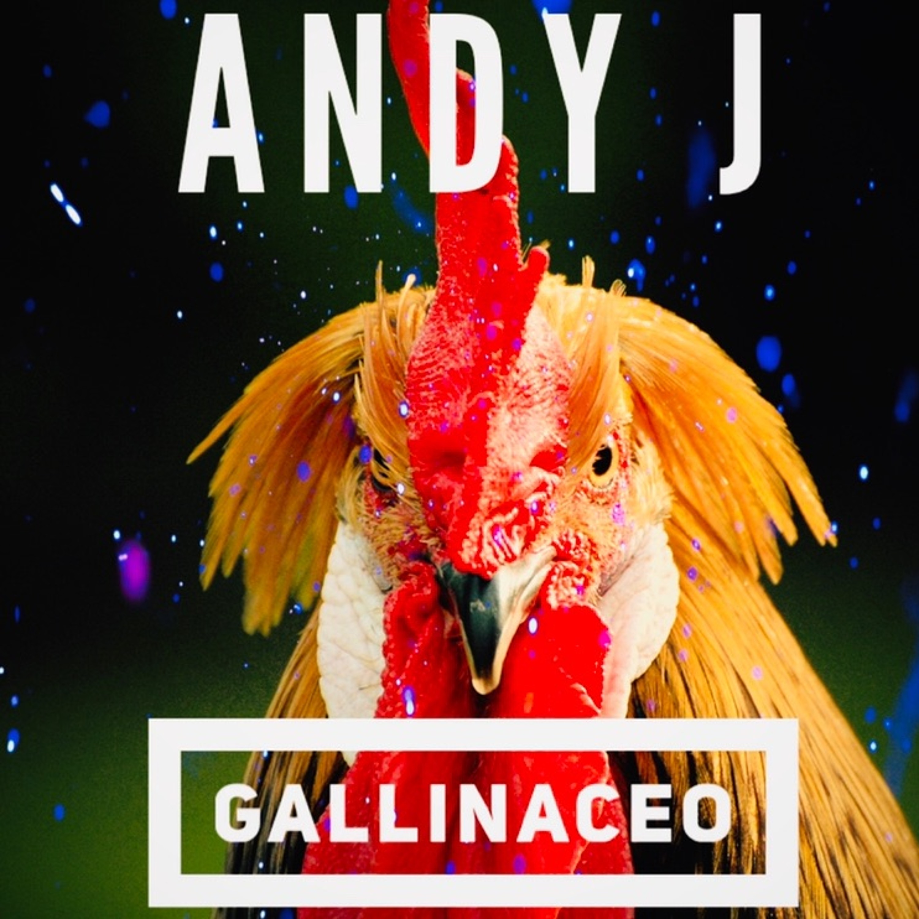 Andy J - Gallinaceo episode artwork