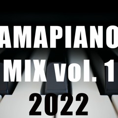 Amapiano Mix Vol. 1 2022 by DJ FIBBS ( ft. Sir Trill, Maphorisa, Toss, Karri, Daliwonga ...)