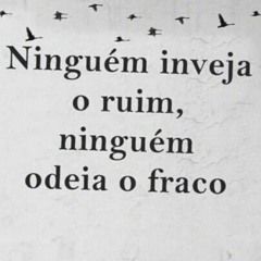 Zn Milionária