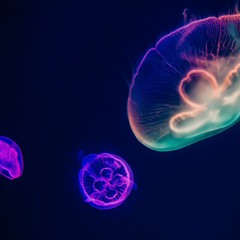 cosmic