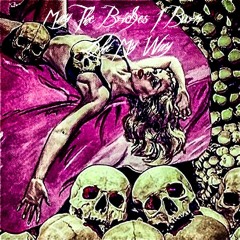 May The Bridges I Burn Light My Way