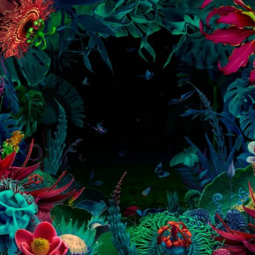 Stream 05.11.22 jungle mini mix by gingersnap | Listen online for free ...