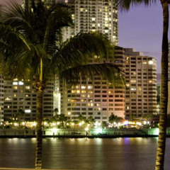 live in miami