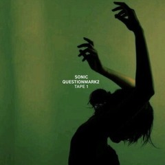 Sonic & Questionmark2