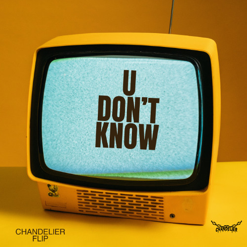 Jayz - U Don't Know (Chandelier Flip)