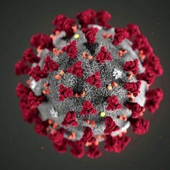 Zac - Corona (Prod. Cho)