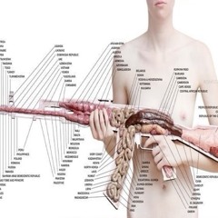 венерический букетик & разноцветные таблетки