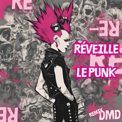 Réveillé le Punk remix Svinkels