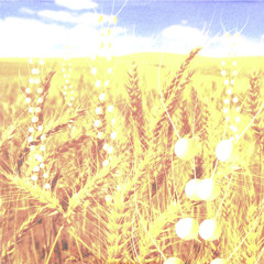 δp.δq ≥ h⁄4π "L'incertitude d'Heisenberg"