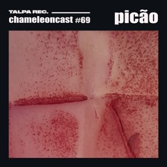 chameleon #69 - picão