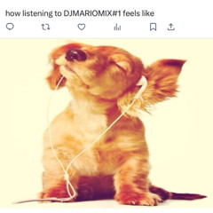 DJMARIOMIX#1