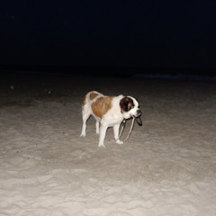 mechAnism (interlude)