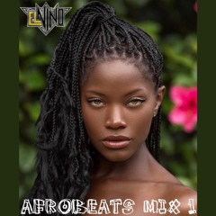 Afrobeat Mix (2020) (Olowo, Soweto Baby, Pawon, Panya, Jerusalema, Zugu Zugu)