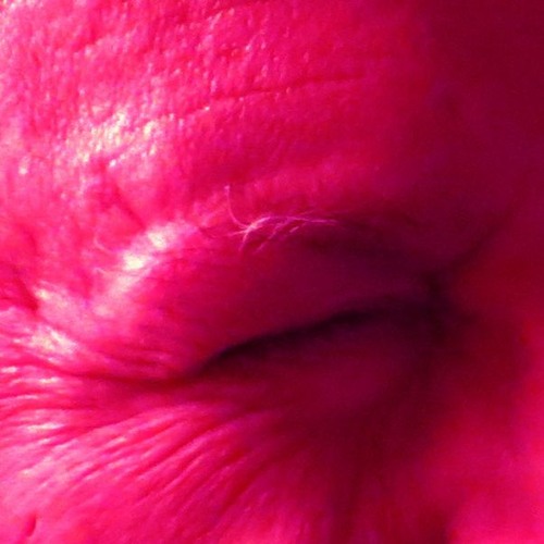 27 - 7-2024