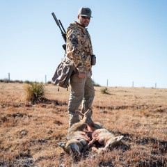 Predator Pros Episode 98: Understanding Probabilities in Coyote Hunting