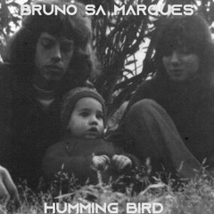 BrunoSaMarques HummingBird