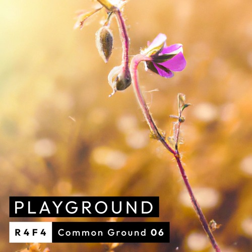 Common Ground 06 - R4F4