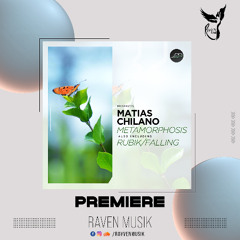 PREMIERE: Matias Chilano - Falling [Movement Recordings]