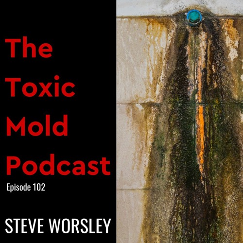 EP 102: Is Dormant Mold a Health Hazard?