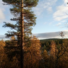 Bladee & ecco2k - dwarf