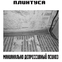 плинтуса (sweetprice, сзп)