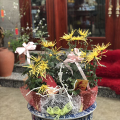 Là Tự Anh Đa Tình