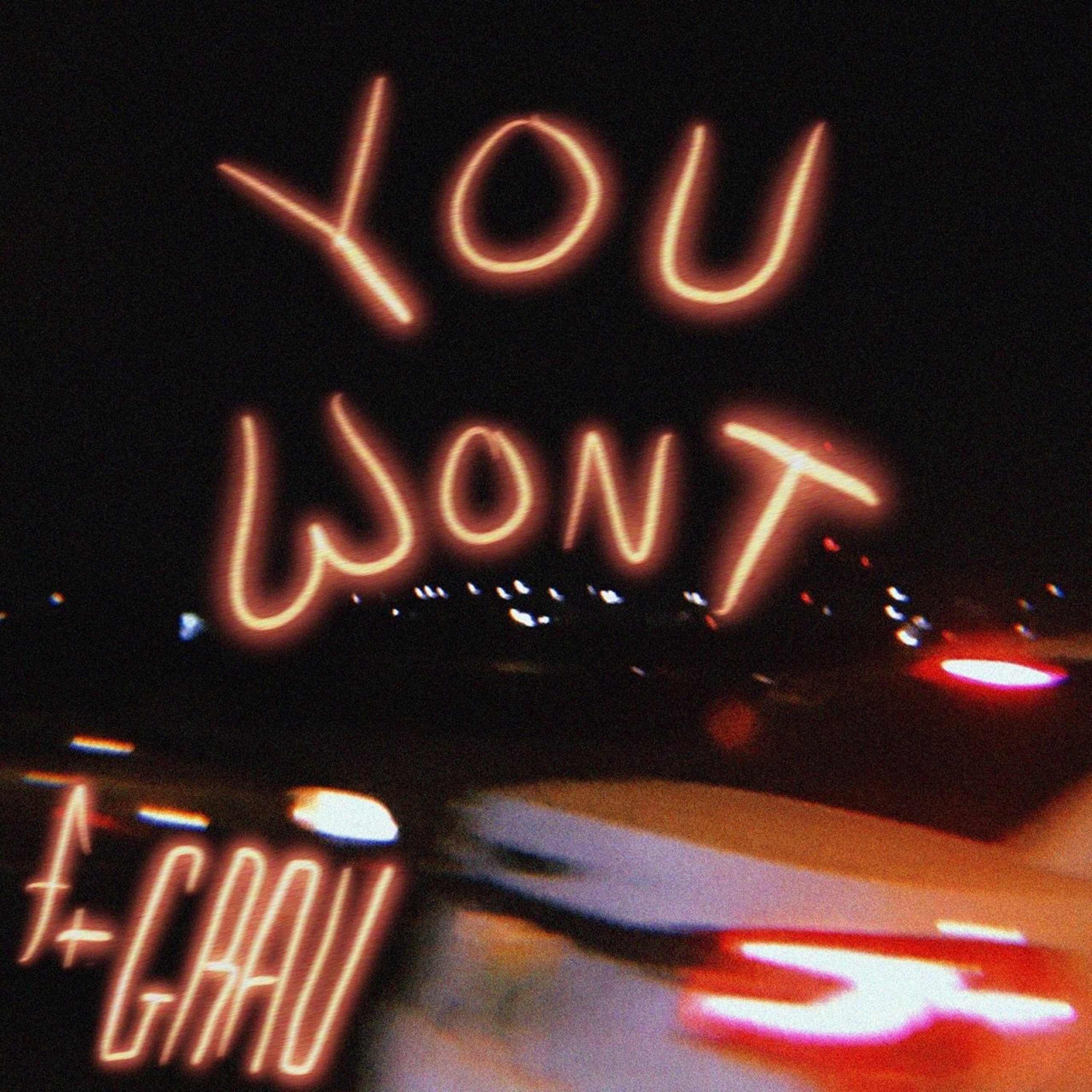 You Won't ft. Grau