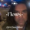 Скачать видео: Flows 064: Dave Silver