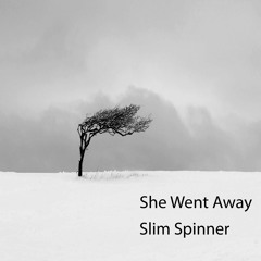 Slim Spinner - She Went Away (4 Track Demo)