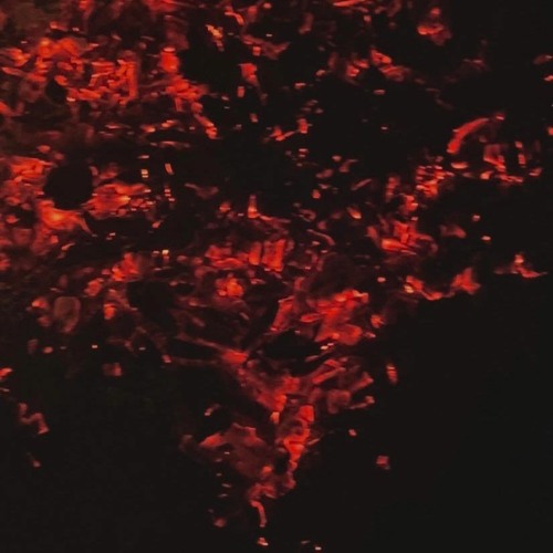 Ragdoll (Prod. LiLo!)