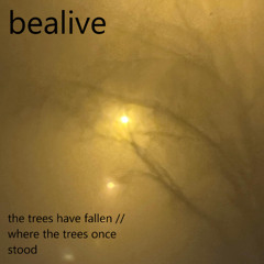it's windy (the trees are falling)