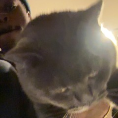 back it up horizontally