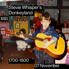 Stevie Whisper's Donkeyland #2 / 07.11.2024