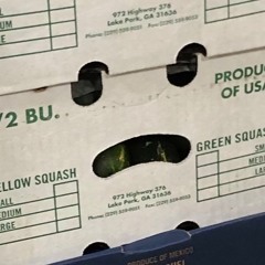I SENT YOU A PACKAGE- DEMO