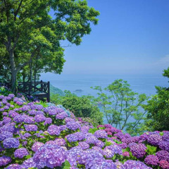 11त्र्यम्बकम्11