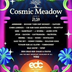 Sonny Fodera @ cosmicMEADOW, EDC Las Vegas, United States 2023-05-21