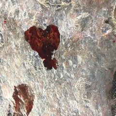 vsechen pernik na svete dosel