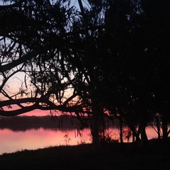 PIRACAST #05, daydreaming