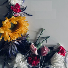 Something Like A Long Song  - Marcus Harmon and Bad Colours