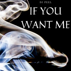 Dj Peel - If You Want Me (radio Edit)