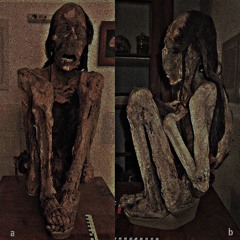 king tut